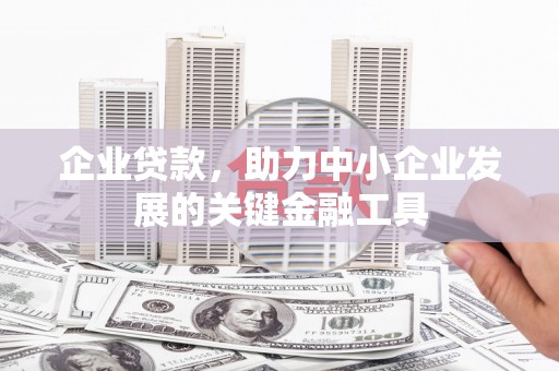 湖里企业贷款，助力中小企业发展的关键金融工具