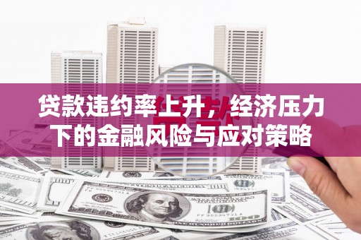 湖里贷款违约率上升，经济压力下的金融风险与应对策略