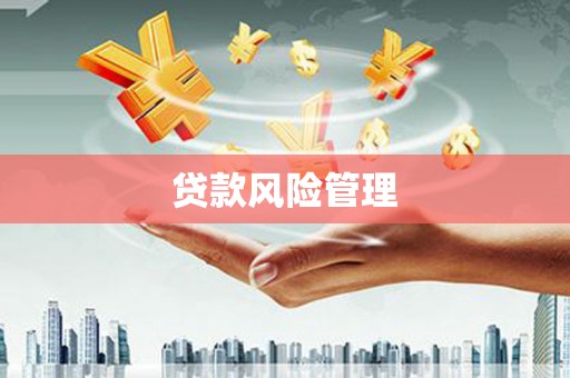 湖里贷款风险管理