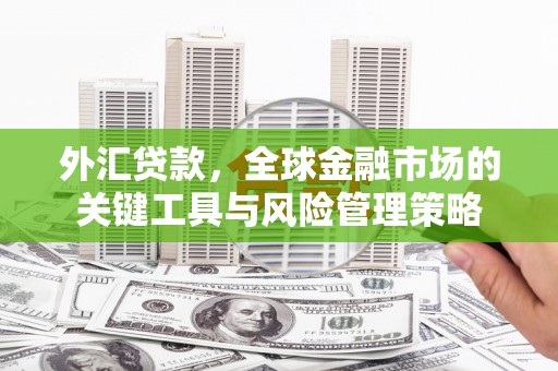 湖里外汇贷款，全球金融市场的关键工具与风险管理策略