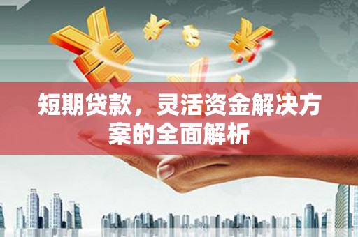 湖里短期贷款，灵活资金解决方案的全面解析