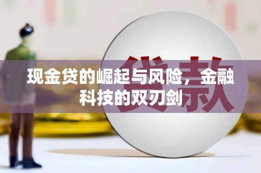 湖里现金贷的崛起与风险，金融科技的双刃剑