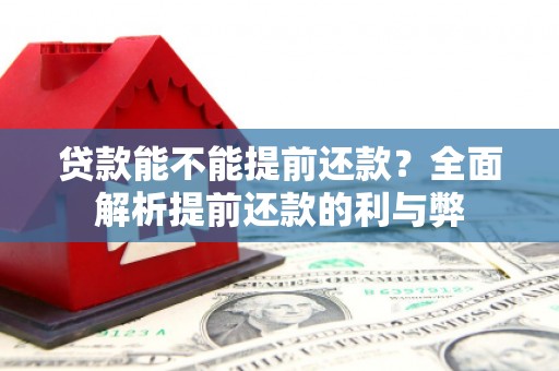 湖里贷款能不能提前还款？全面解析提前还款的利与弊