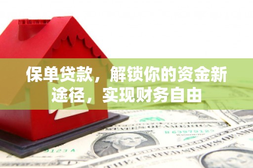 湖里保单贷款，解锁你的资金新途径，实现财务自由