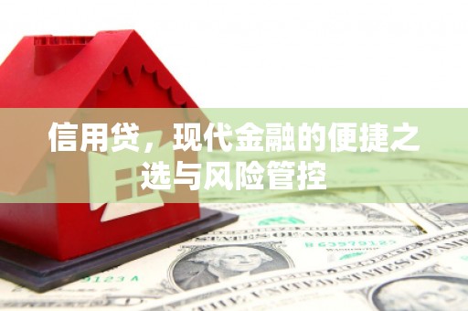 湖里信用贷，现代金融的便捷之选与风险管控