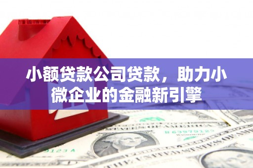 湖里小额贷款公司贷款，助力小微企业的金融新引擎