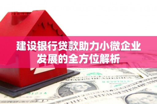 湖里建设银行贷款助力小微企业发展的全方位解析