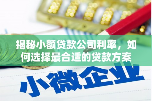 湖里揭秘小额贷款公司利率，如何选择最合适的贷款方案
