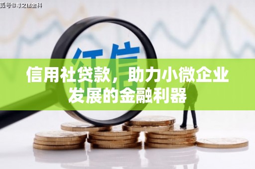 湖里信用社贷款，助力小微企业发展的金融利器