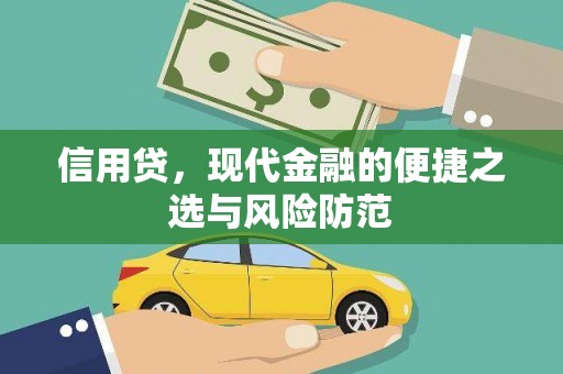 湖里信用贷，现代金融的便捷之选与风险防范