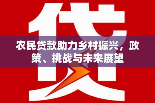 湖里农民贷款助力乡村振兴，政策、挑战与未来展望