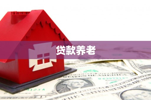 湖里贷款养老