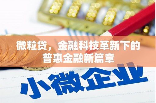 湖里微粒贷，金融科技革新下的普惠金融新篇章