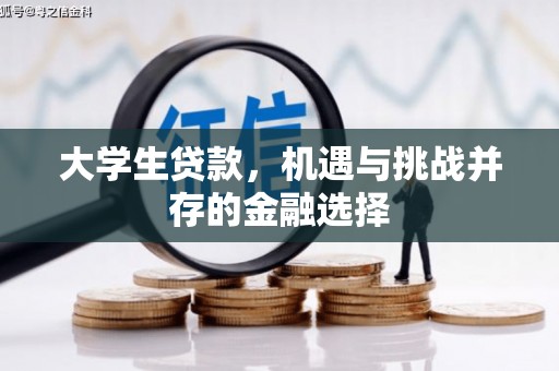 湖里大学生贷款，机遇与挑战并存的金融选择