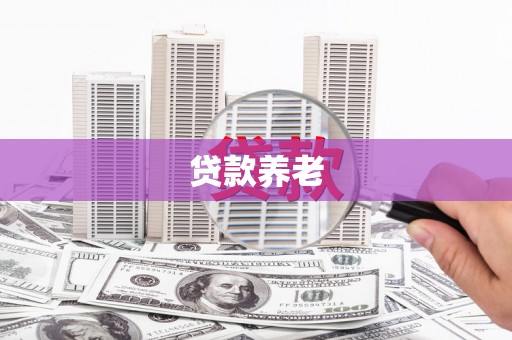 湖里贷款养老