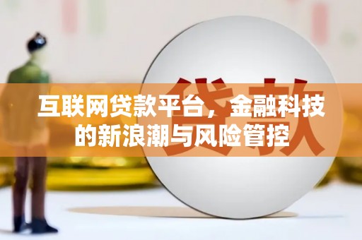 湖里互联网贷款平台，金融科技的新浪潮与风险管控