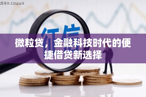 湖里微粒贷，金融科技时代的便捷借贷新选择