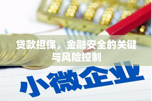 湖里贷款担保，金融安全的关键与风险控制