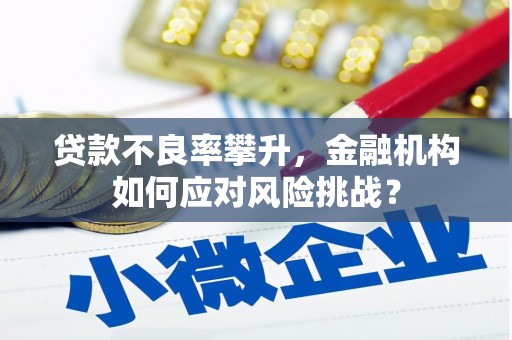 湖里贷款不良率攀升，金融机构如何应对风险挑战？