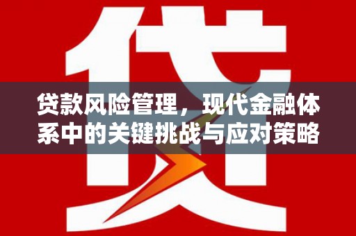 湖里贷款风险管理，现代金融体系中的关键挑战与应对策略