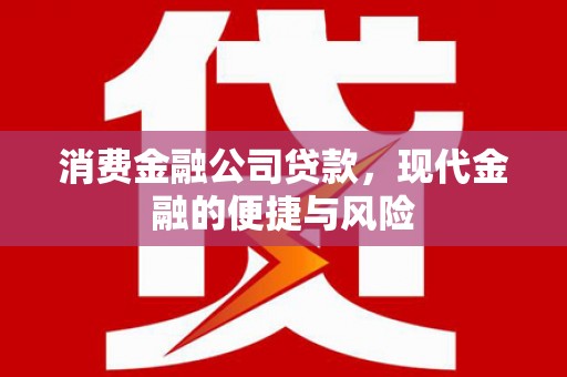 湖里消费金融公司贷款，现代金融的便捷与风险