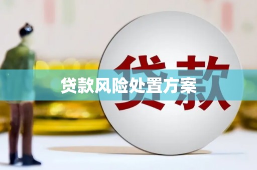 湖里贷款风险处置方案