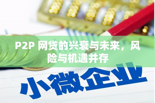 湖里P2P 网贷的兴衰与未来，风险与机遇并存