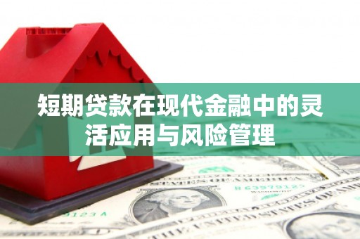 湖里短期贷款在现代金融中的灵活应用与风险管理