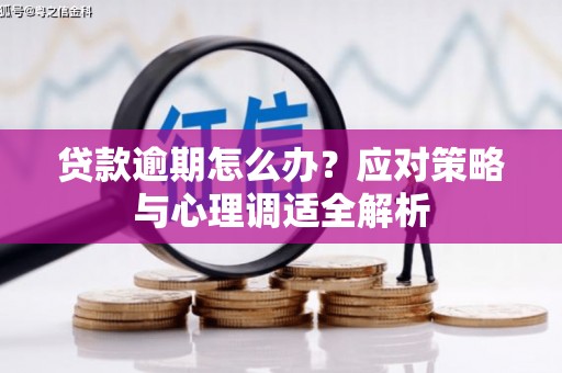 湖里贷款逾期怎么办？应对策略与心理调适全解析