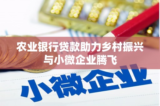 湖里农业银行贷款助力乡村振兴与小微企业腾飞