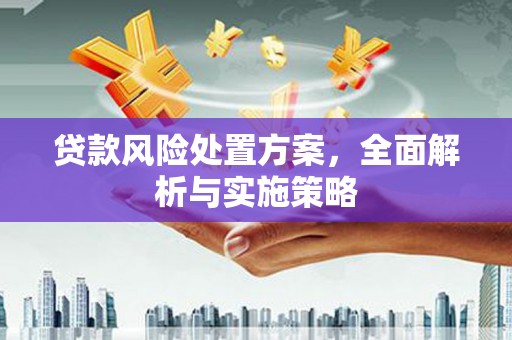湖里贷款风险处置方案，全面解析与实施策略