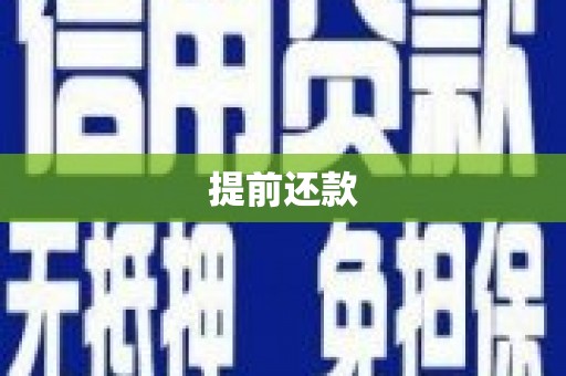 湖里提前还款
