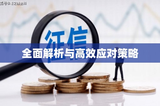 湖里全面解析与高效应对策略