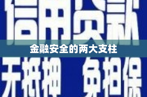 湖里金融安全的两大支柱