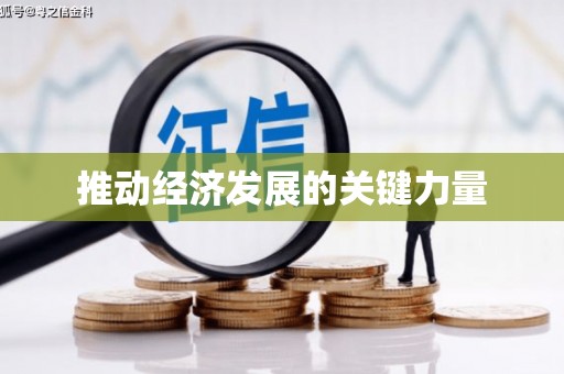 湖里推动经济发展的关键力量