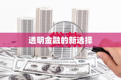湖里透明金融的新选择