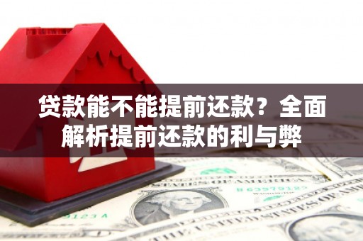 湖里贷款能不能提前还款？全面解析提前还款的利与弊