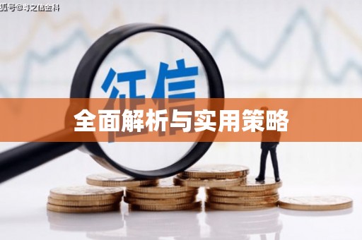 湖里全面解析与实用策略
