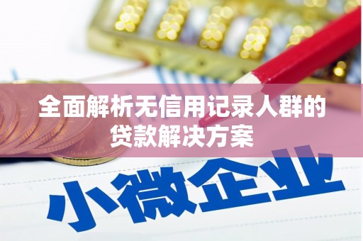 湖里全面解析无信用记录人群的贷款解决方案