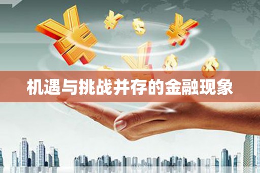 湖里机遇与挑战并存的金融现象