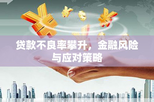 湖里贷款不良率攀升，金融风险与应对策略