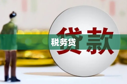 湖里税务贷